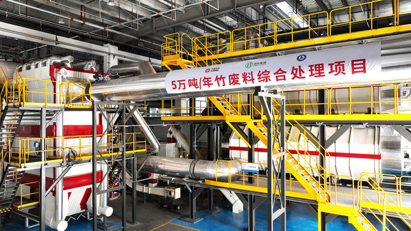 Chizhou's Bamboo Revolution: A Sustainable Model for Green Industry