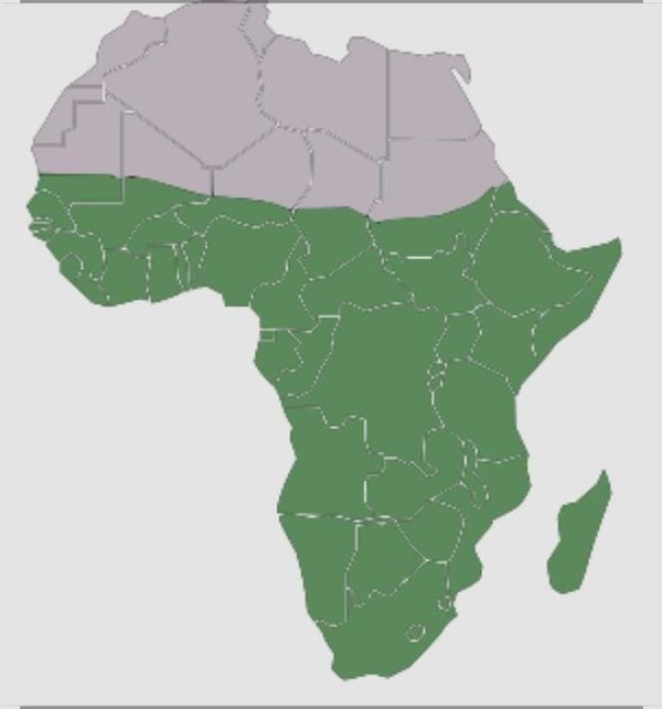 Afrique subsaharienne : les défis d'une croissance économique en berne