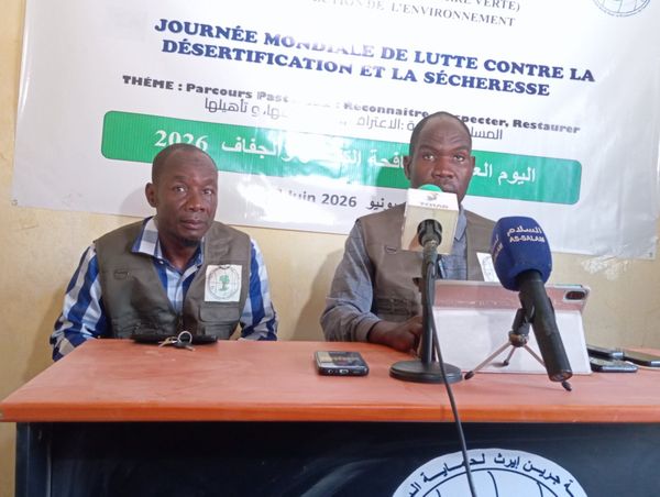 Tchad : Green Earth appelle à l'union contre la désertification