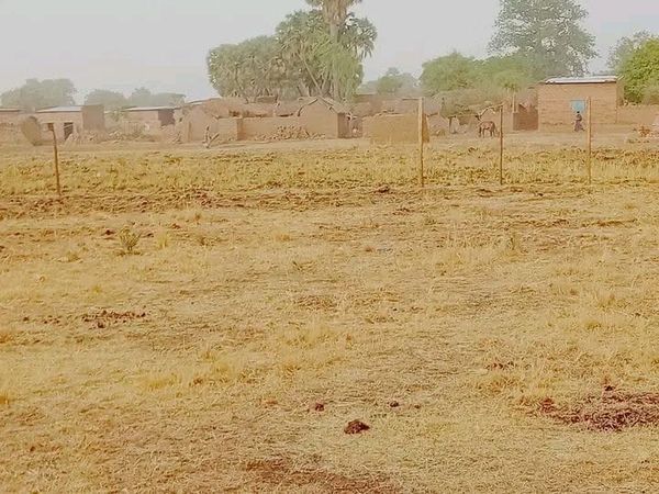 Tchad : conflits meurtriers, 12 morts et des centaines de déplacés