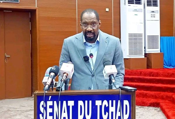 Tchad : le ministre de la Sécurité publique plaide pour une mobilisation contre les conflits intercommunautaires