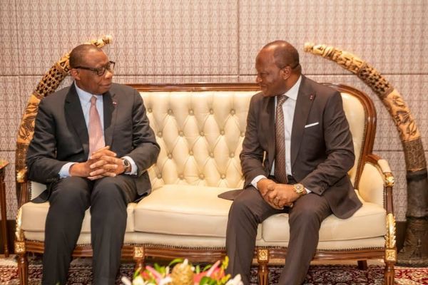 Préparatifs de l'Assemblée Parlementaire de la Francophonie : Le Cameroun se mobilise