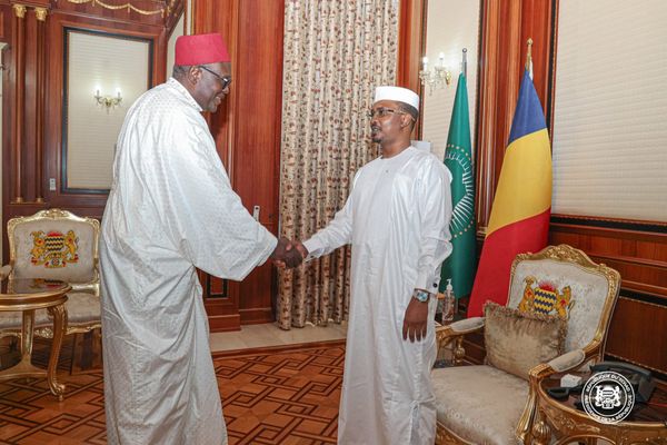 Tchad : le président de la République rencontre le bureau exécutif du HCCT