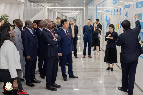 Le Premier ministre guinéen explore l'innovation énergétique à Shanghai