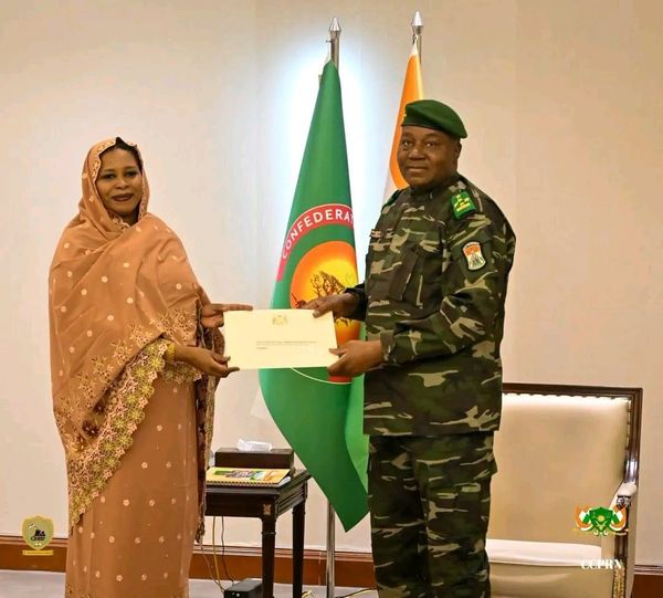 Rencontre stratégique entre le Niger et le Tchad sur les enjeux hydriques