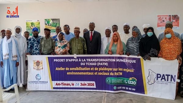 Tchad : à Am-Timan, le projet PATN met l'environnement au cœur de la transformation numérique