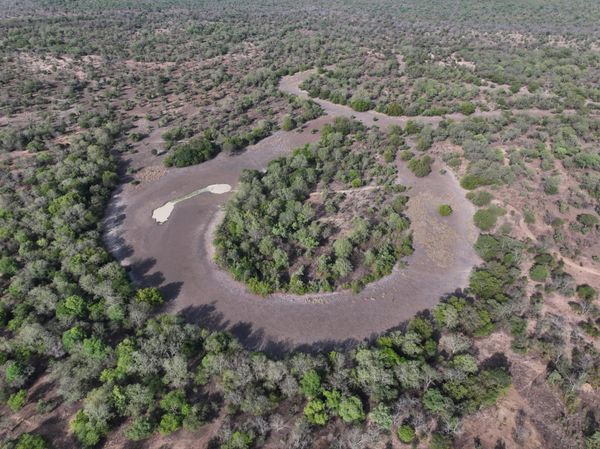 Tchad : Siniaka-Minia, un joyau écologique et économique sous la protection d'African Parks