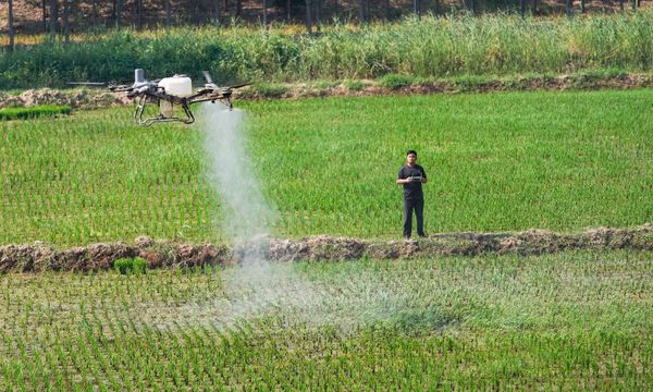 China's Comprehensive Farmland Protection and Ecological Restoration