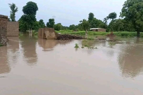 Tchad : Sarh face aux inondations, une préparation cruciale pour éviter le pire