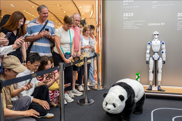 China's AI Industry: Leading the Global Open-Source Revolution