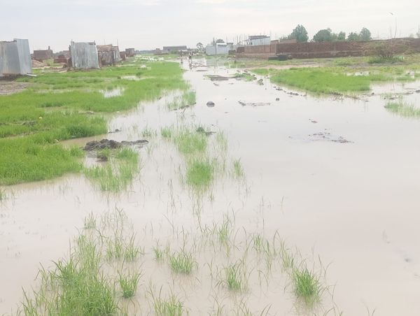 Inondations à N'Djamena : Harangadji submergé, les habitants appellent à l'aide