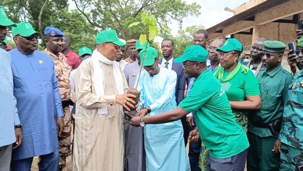 Tchad : le Logone Occidental lance la Semaine nationale de l'Arbre avec l'objectif de planter 4 500 arbres