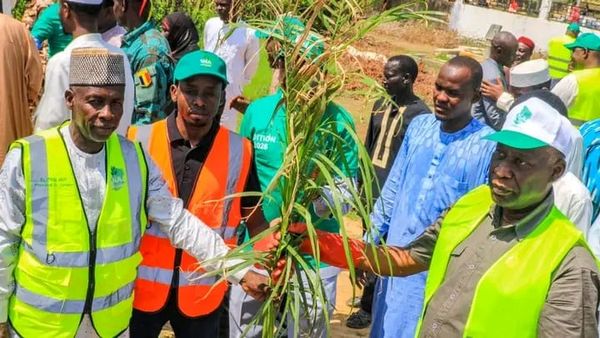 Tchad : le CESCE mobilise pour verdir les universités et sensibiliser à la protection de l’environnement