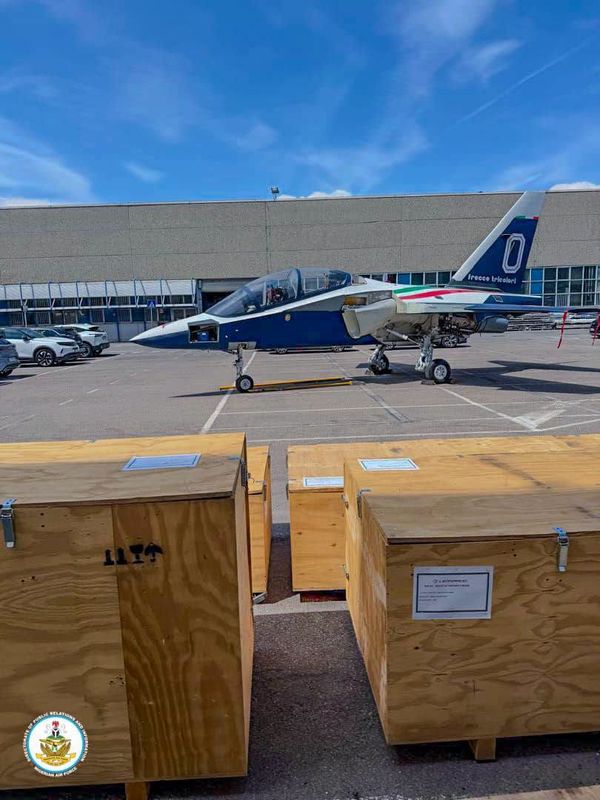 Modernisation aérienne : le Nigeria accueille ses premiers avions de combat M-346