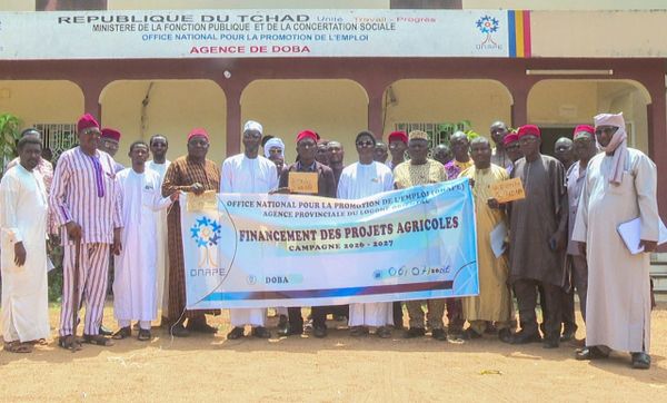 Tchad : l'ONAPE renforce le soutien agricole à Doba pour 2026-2027