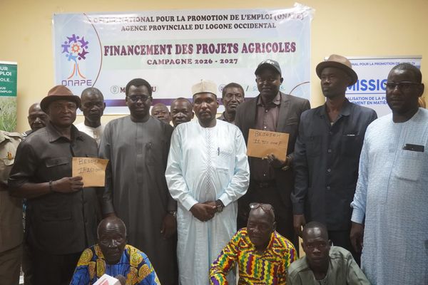 Tchad - ONAPE : un soutien renforcé aux projets agricoles à Moundou