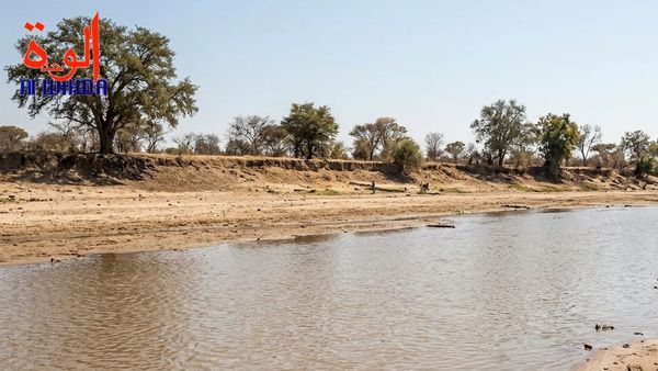 Tchad : le Bahr-Azoum, ce fleuve qui rythme si fortement la vie de la population du Salamat