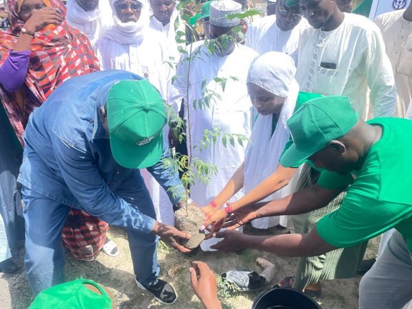 Tchad : lancement de la Semaine nationale de l'arbre à Moussoro