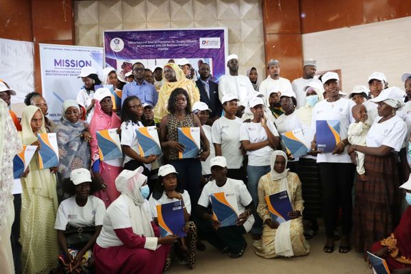 Autonomisation au Tchad : 100 femmes formées à l'agroalimentaire par l'ONAPE
