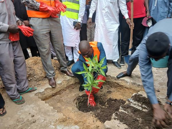 Tchad : le ministère du Commerce et de l'Industrie au cœur de la Semaine nationale de l'Arbre