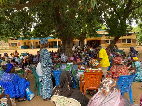Tchad : nouvelles opportunités pour les femmes du Moyen-Chari avec le karité et la mangue