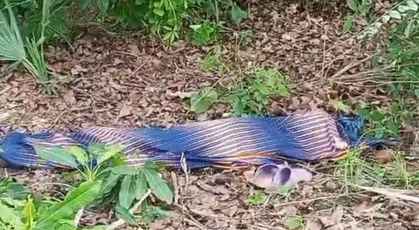 Tchad : une fillette meurt électrocutée dans une ferme à Bragoto