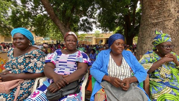 Tchad : les Femmes du Moyen-Chari misent sur le karité et la mangue