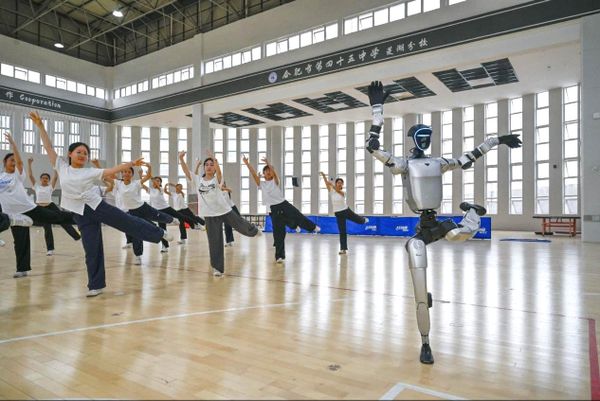 The Rise of Chinese Robots: Affordable Excellence