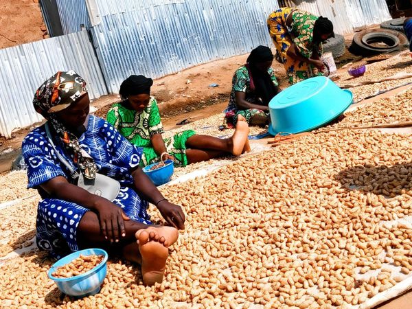 À N'Djamena, le combat quotidien des vendeuses d'arachides fraîches