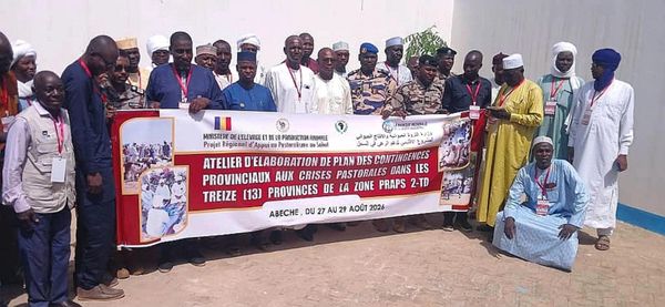 Tchad : atelier stratégique sur les plans de contingence pastoraux du PRAPS 2 à Abéché