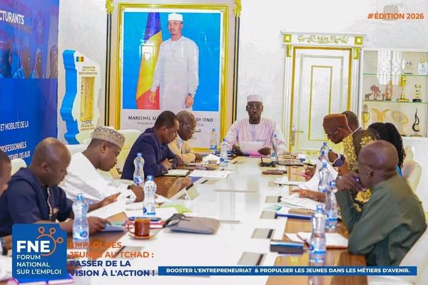 Tchad : ONAPE et CNPT renforcent leur concertation pour le suivi des recommandations du FNE