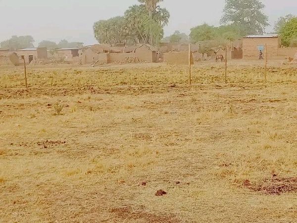 Tchad : six morts et dix blessés dans des affrontements intercommunautaires au Batha