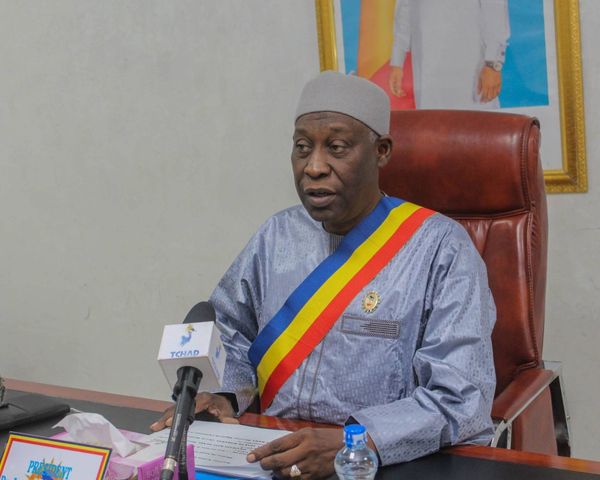 Grâce présidentielle au Tchad : le CESE salue une mesure en faveur de la réconciliation