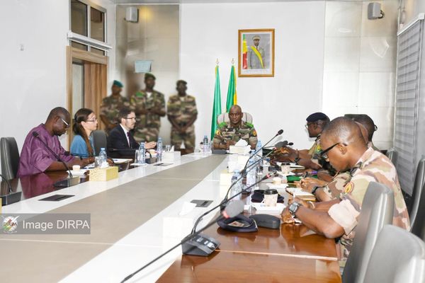 Mali : le ministre délégué à la Défense reçoit l'ambassadeur du Royaume-Uni