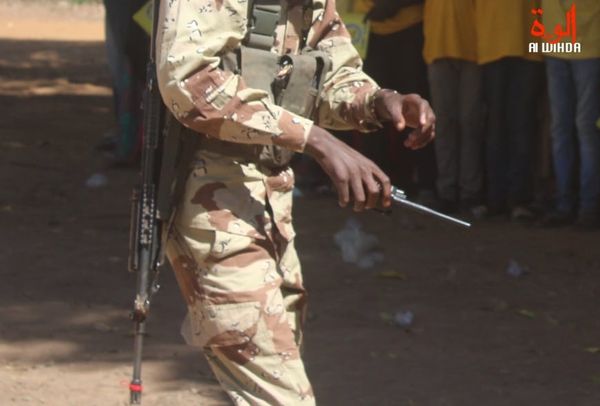 Tchad : un lieutenant radié de l'armée pour "désertion avec matériels militaires"