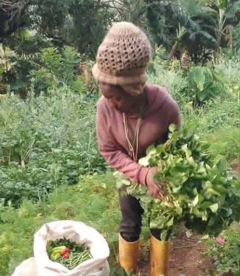 AFSA : vers une agroécologie inclusive pour le Bassin du Congo