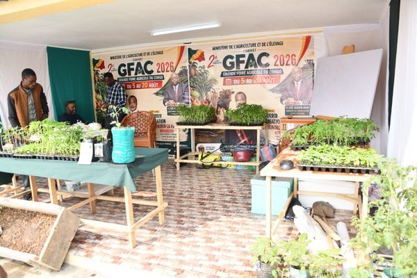 Congo/GFAC2 : des producteurs  et des investisseurs pour valoriser le potentiel du monde rural