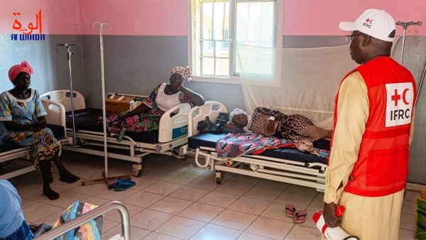 Tchad : la Croix-Rouge du Salamat passe à l'offensive contre le choléra à l'hôpital provincial