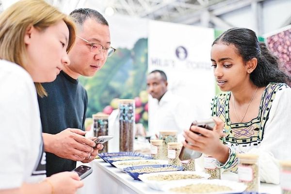 Ethiopian Coffee Thrives as China Emerges as a Key Export Hub
