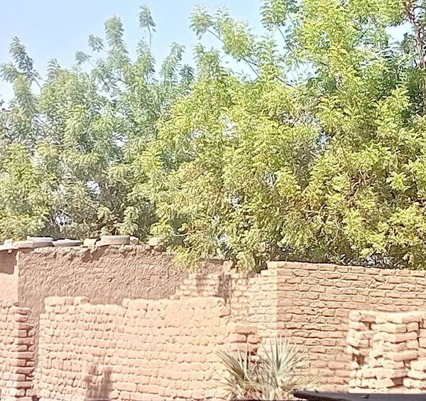 Logement : à N’Djamena, le loyer met les jeunes ménages à genoux