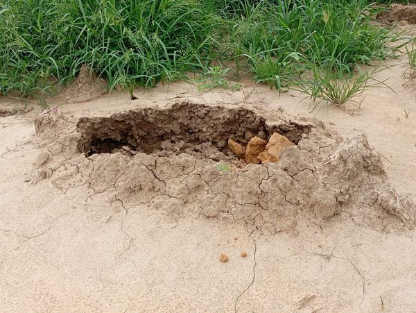 À N'Djamena, la saison des pluies met à rude épreuve le cimetière de Lamadji