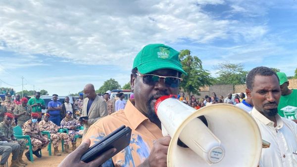 Tchad : un appel à l'action collective pour la Semaine nationale de l'arbre à Sarh