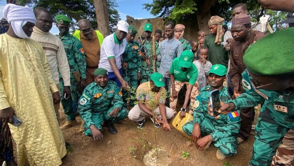 Tchad : la Semaine nationale de l'arbre lancée au Moyen-Chari