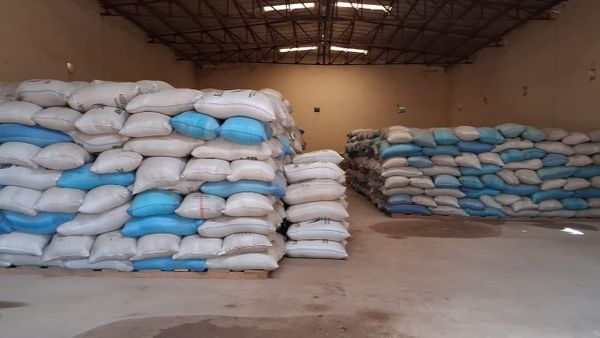 Tchad : au Mandoul, lancement de la vente subventionnée des céréales pour les plus vulnérables