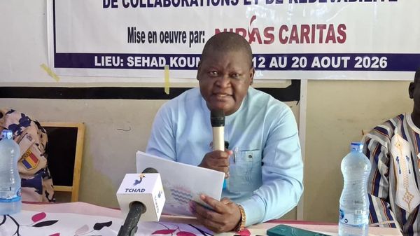 Tchad : au Mandoul, la redevabilité au cœur d’une formation pour les services forestiers et les collectivités