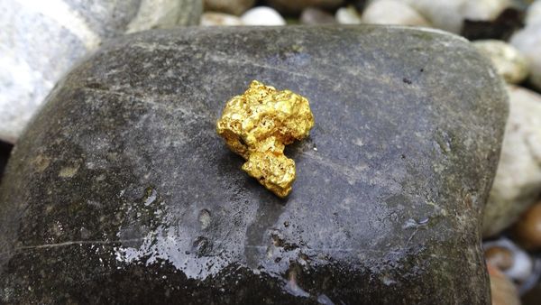 Tchad : l'essor de l'or et de l'antimoine accélère la diversification minière