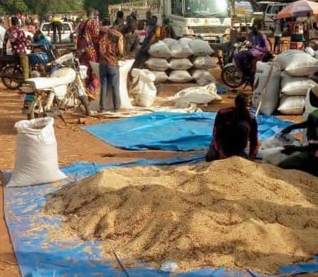 Tchad : valoriser le karité, le sésame et la gomme arabique