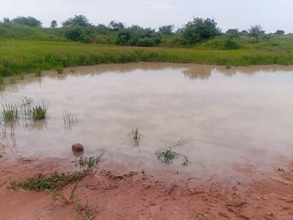 Tchad : le projet controversé d'utilisation d'eaux usées dans les carrières de la Nya irrite les habitants