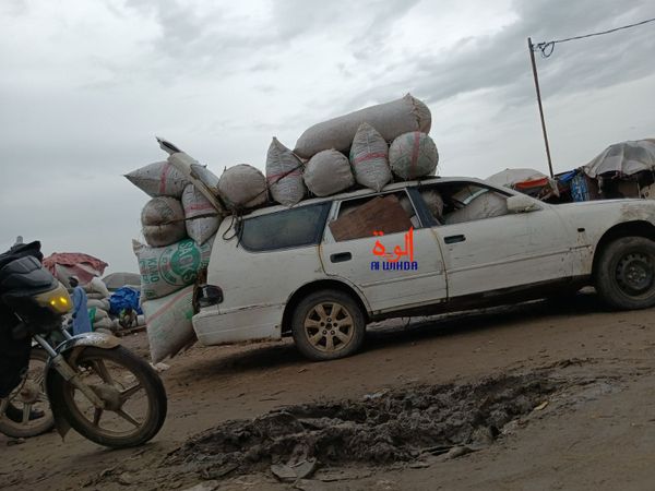 N'Djamena : baisse de prix de l'arachide, un soulagement pour les consommateurs