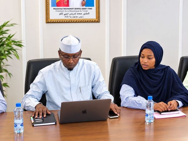 N’Djamena : le FNSS mobilise les acteurs locaux pour renforcer l'aide aux populations vulnérables